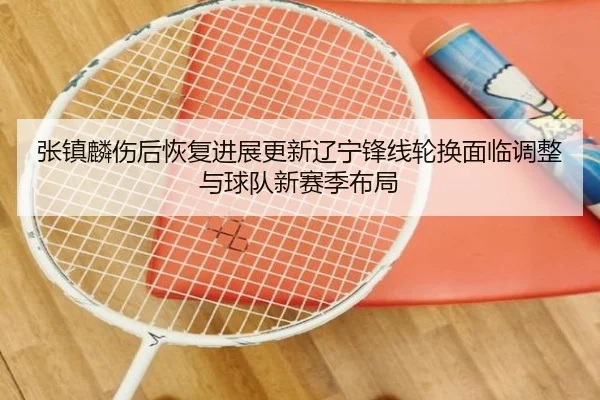 张镇麟伤后恢复进展更新辽宁锋线轮换面临调整与球队新赛季布局